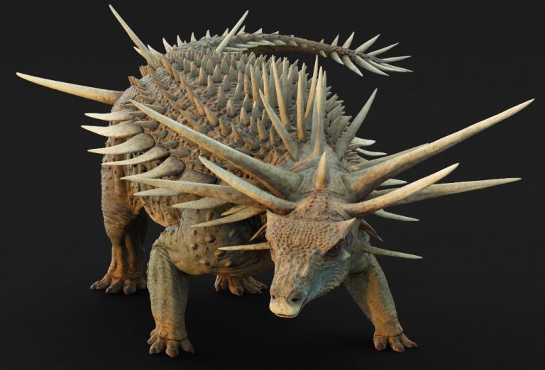 BRITAIN-MOROCCO-PALAEONTOLOGY