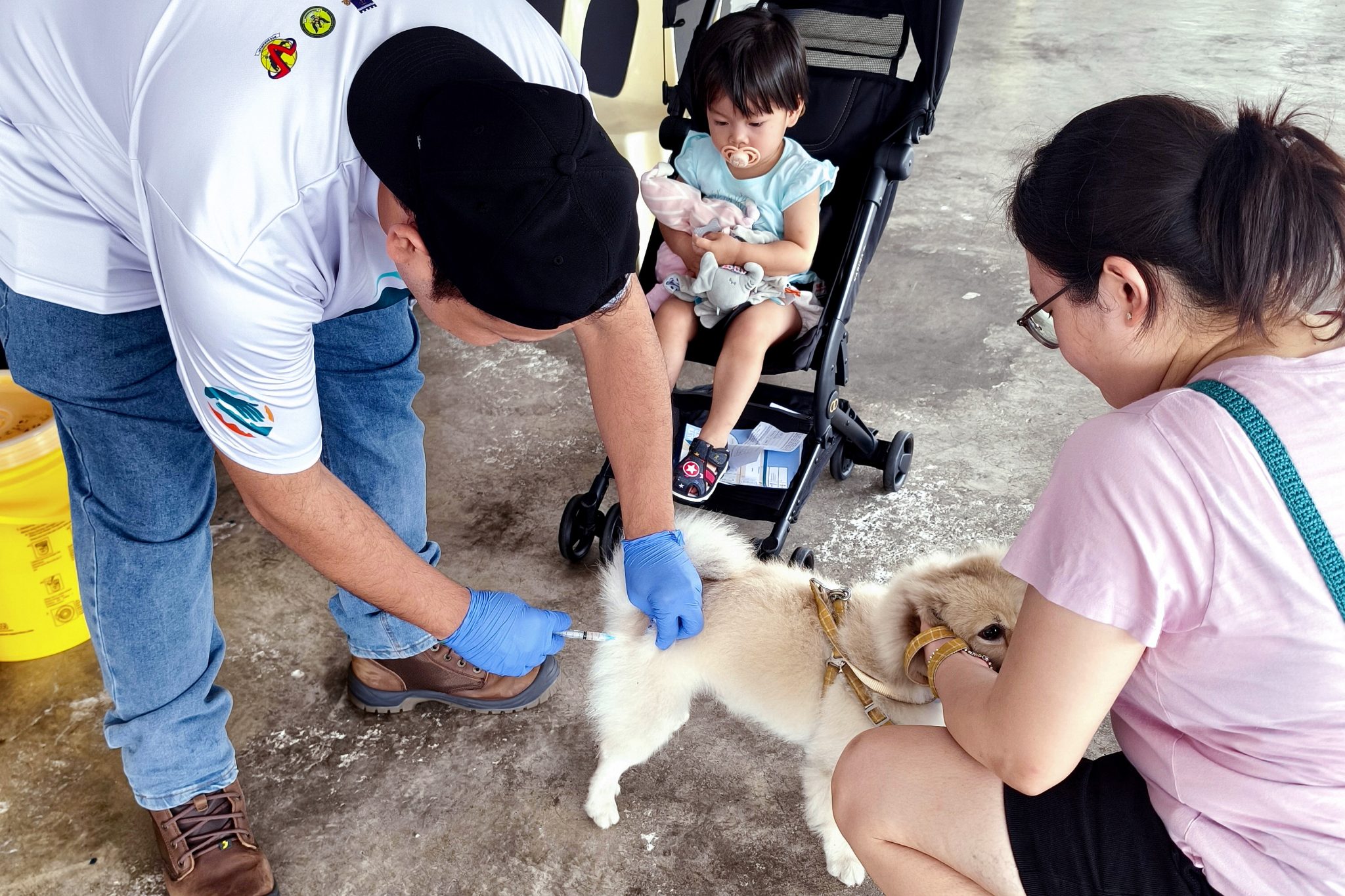 Lebih 13,000 haiwan divaksin, cegah rabies di Malaysia - UTUSAN SARAWAK