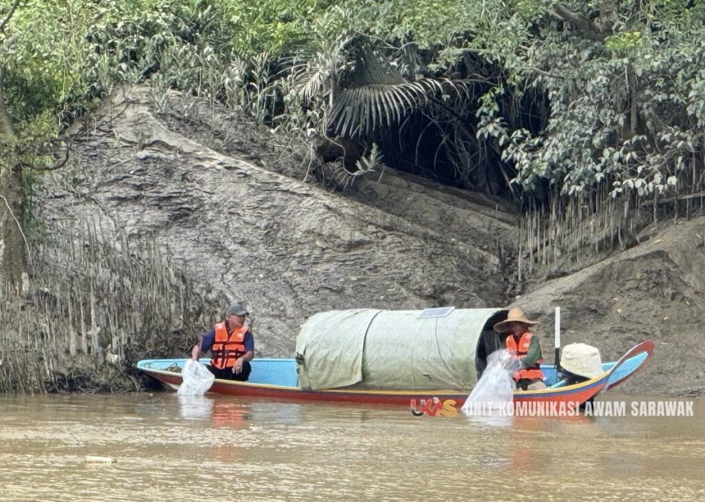 20,000 benih udang galah dilepaskan di Sungai Simunjan - UTUSAN SARAWAK