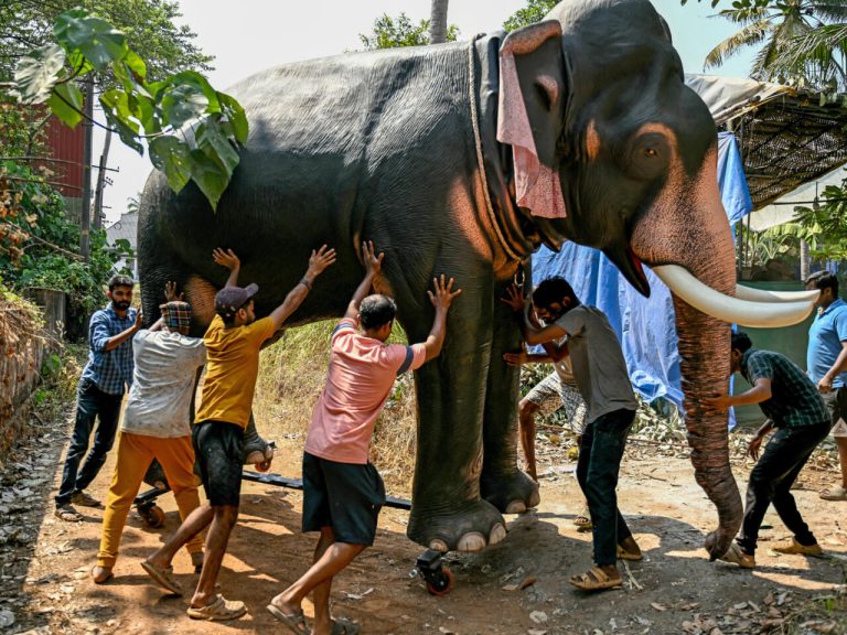 gajah-1